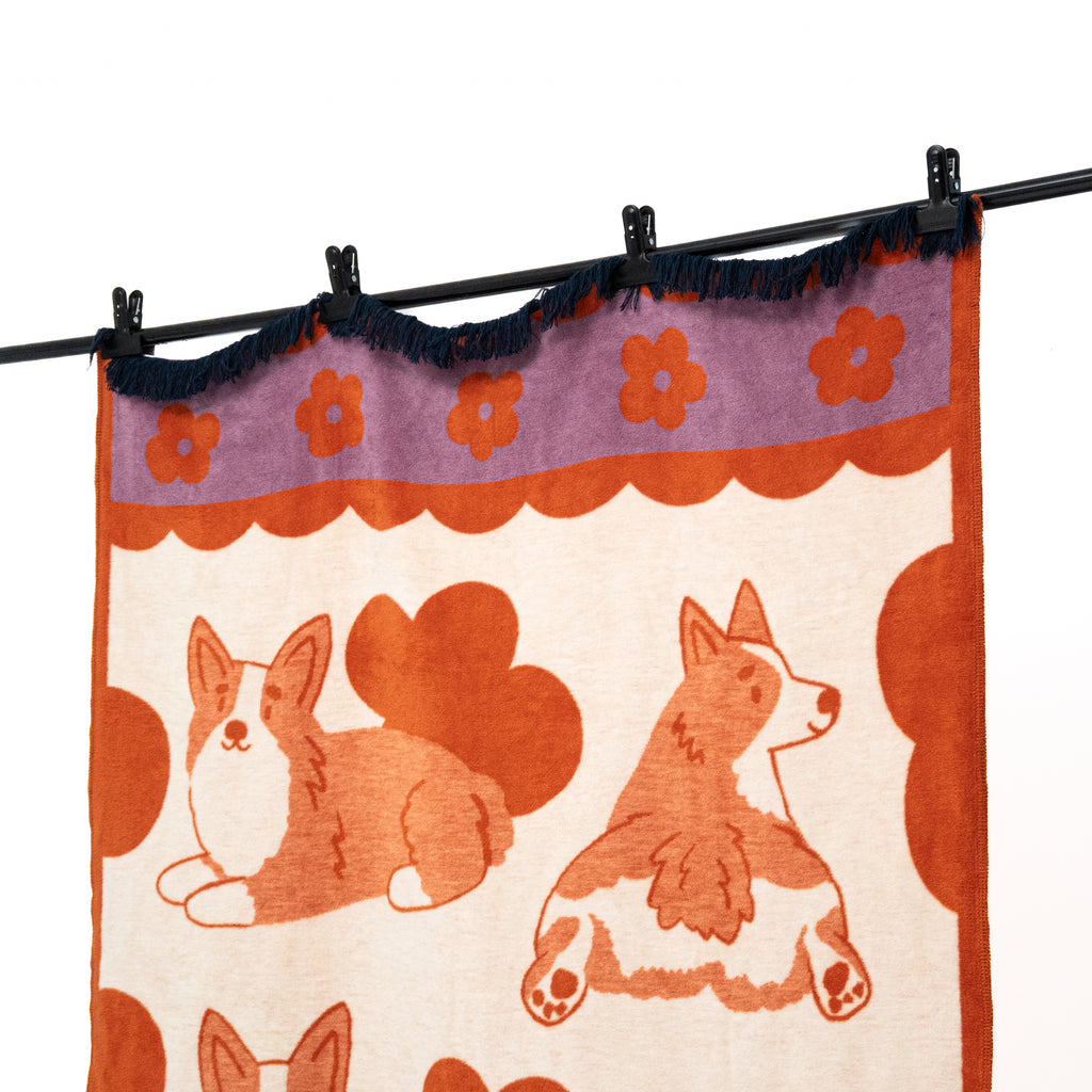 Koc Corgi