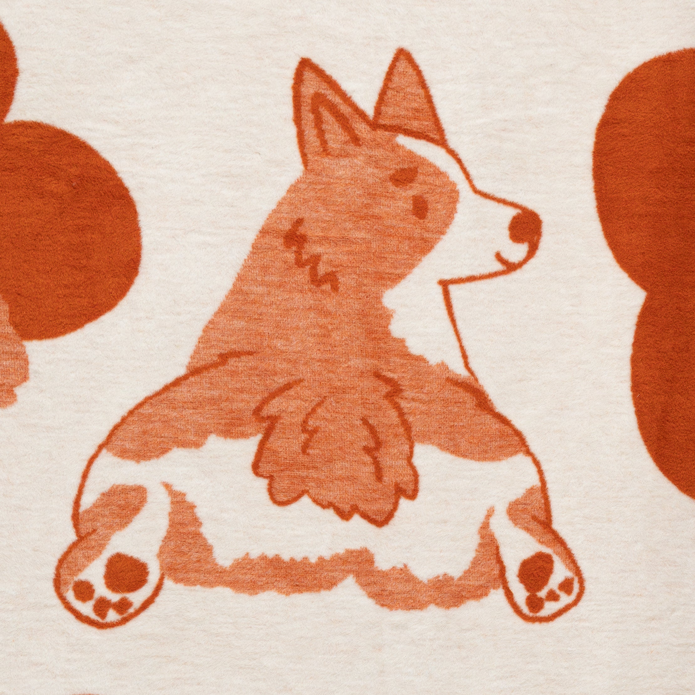 Koc Corgi