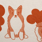 Koc Corgi