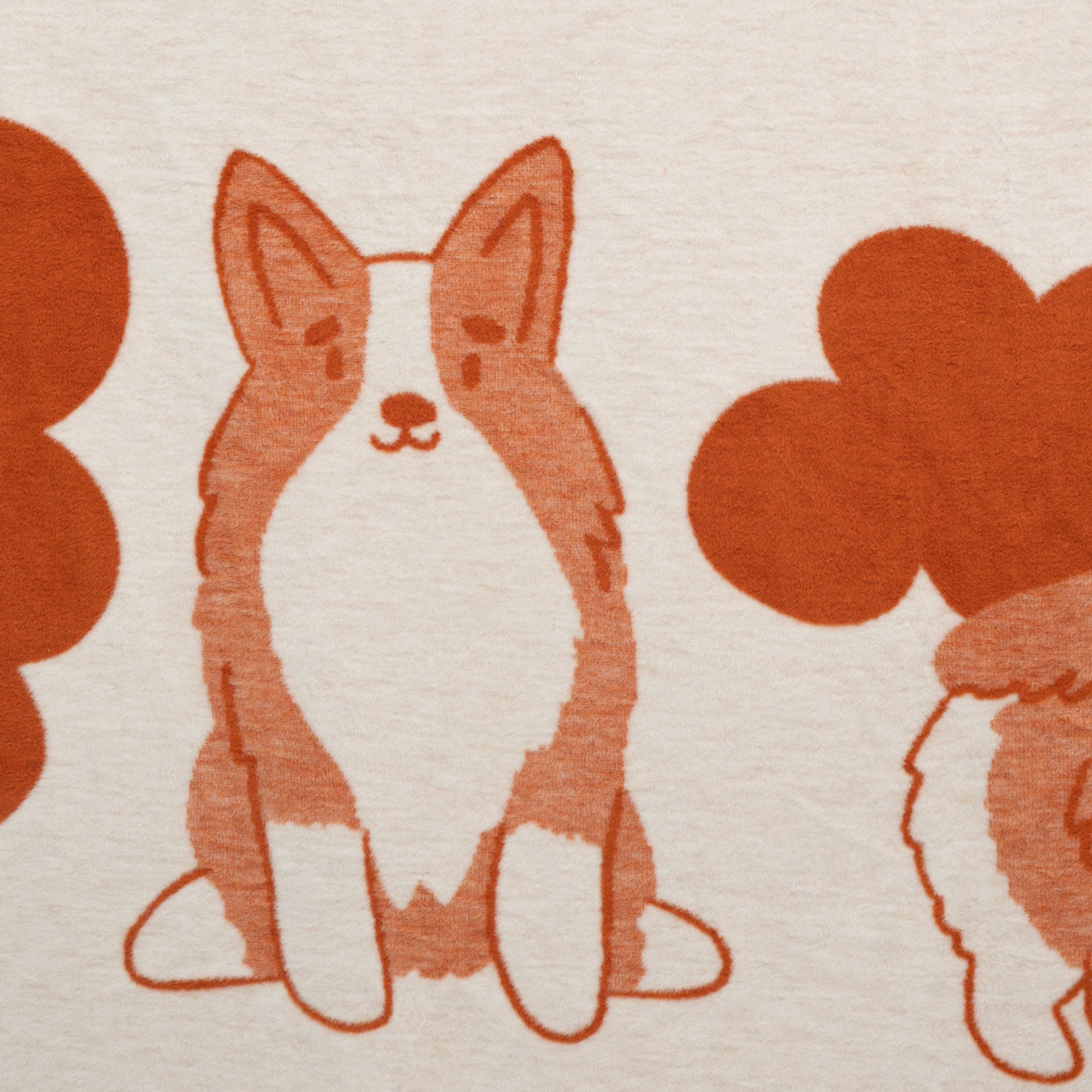 Koc Corgi