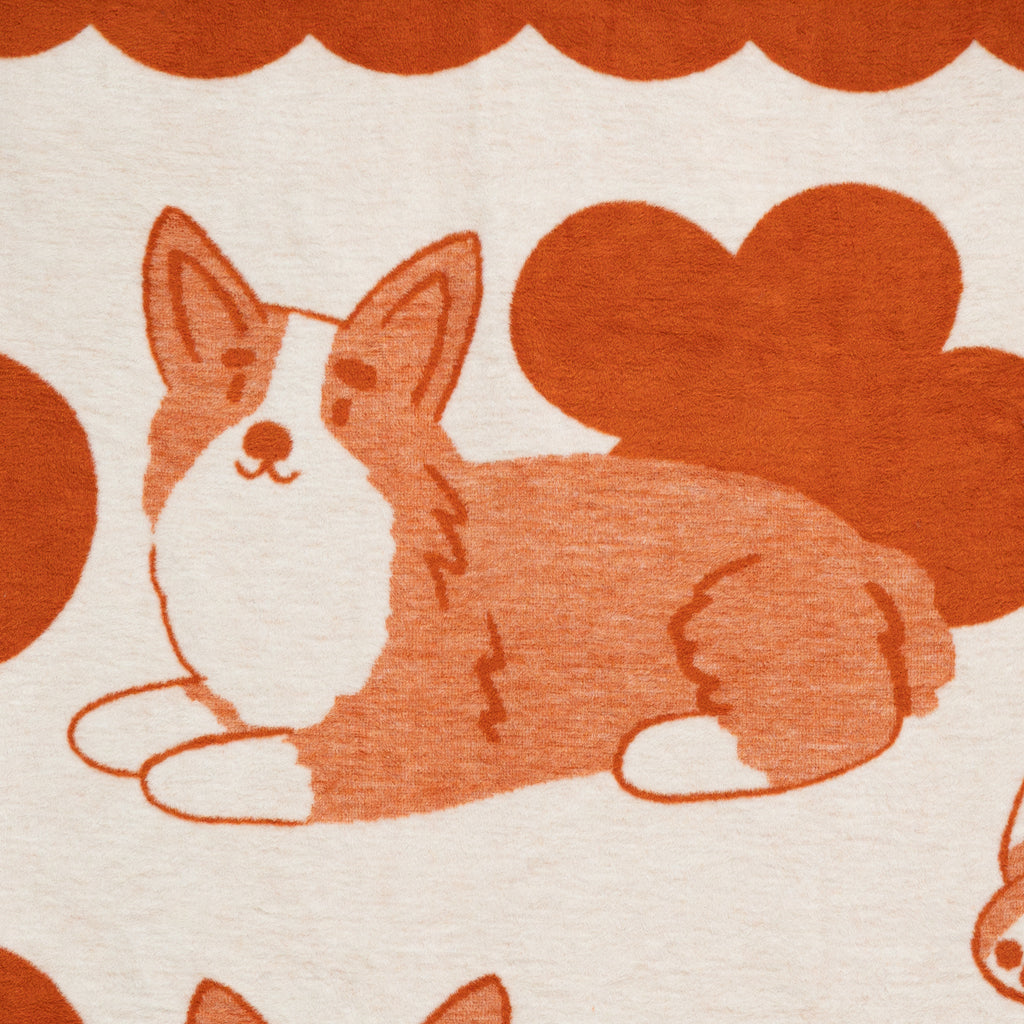 Koc Corgi