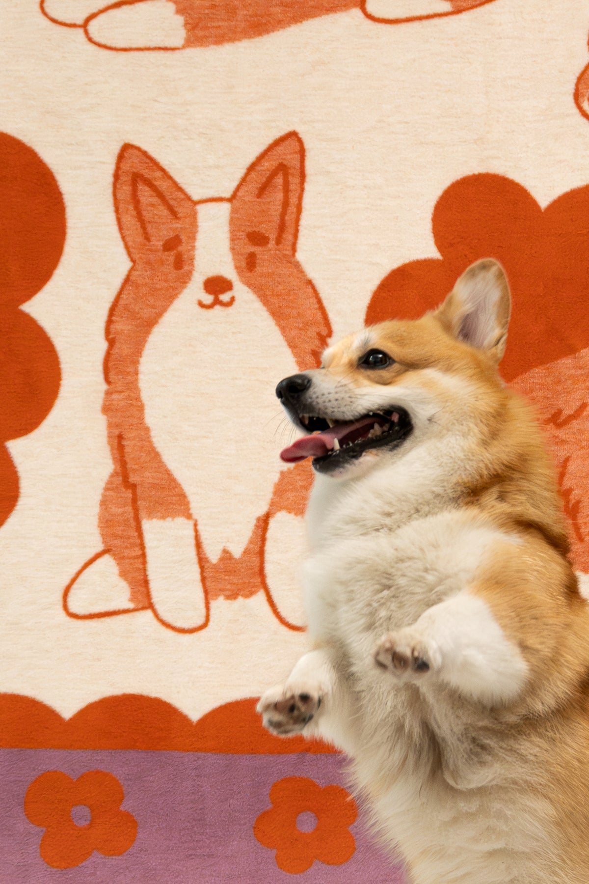 Koc Corgi – żakardowy koc, prezent dla miłośnika corgi