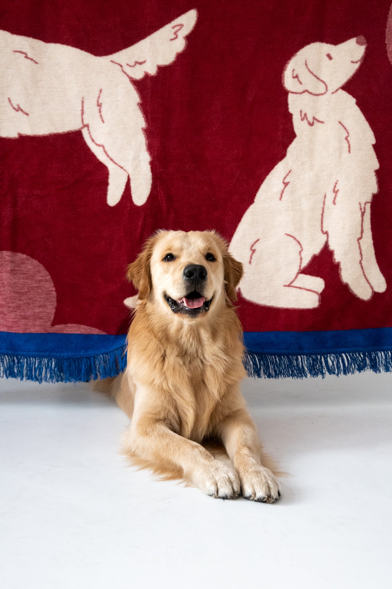 Koc Golden Retriever żakardowy – zamów wyjątkowy prezent w eddo