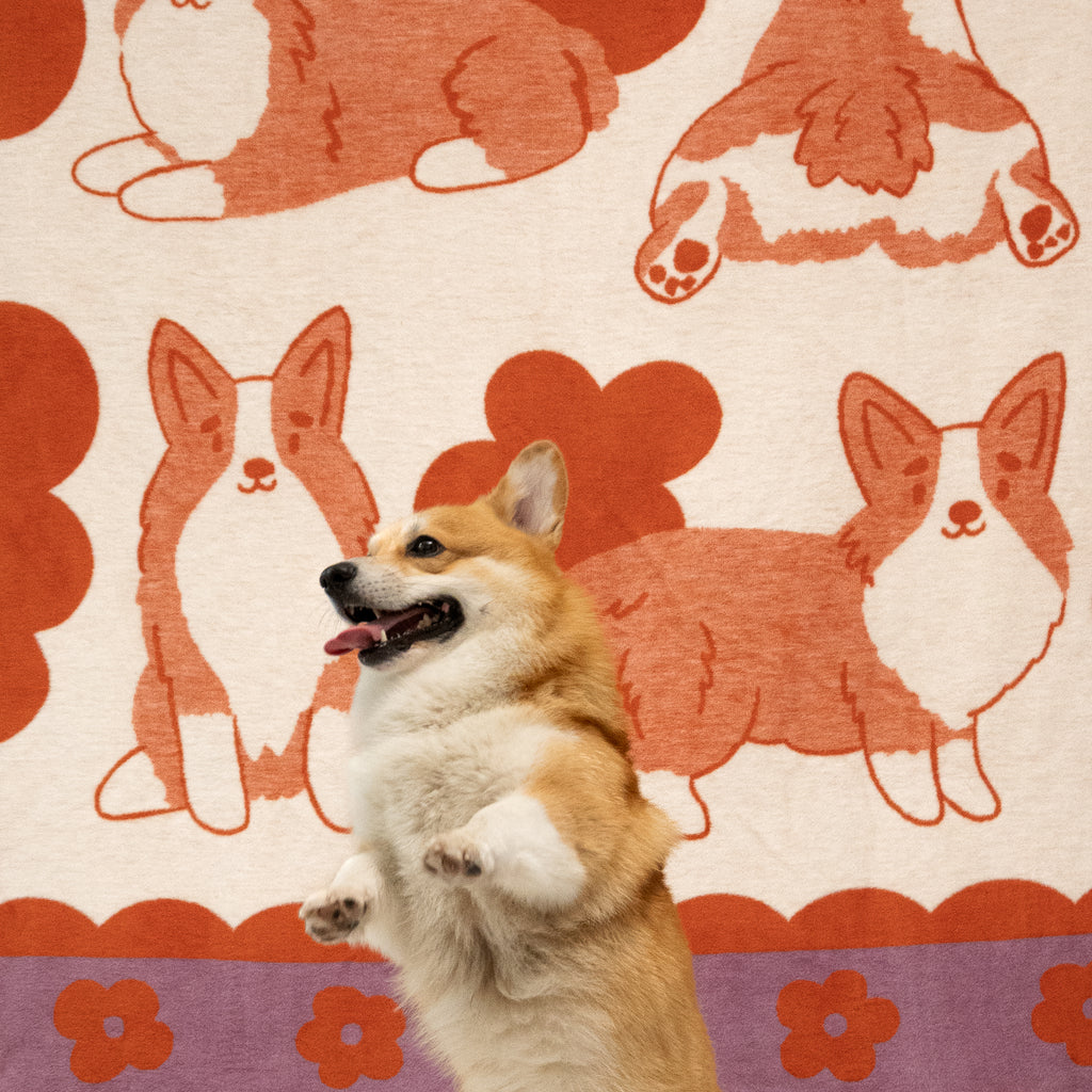 gruby koc bawełniany żakardowy wzór rasy Corgi piesek corgi zdjęcie