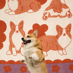 gruby koc bawełniany żakardowy wzór rasy Corgi piesek corgi zdjęcie